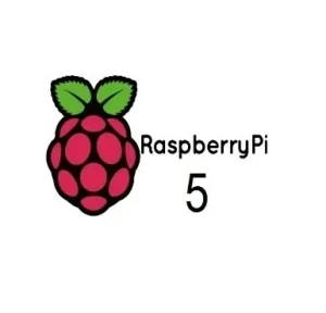 Raspberry Pi 5